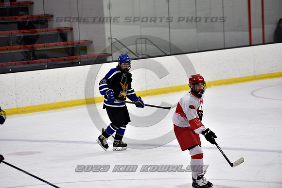 _GSP3239 (Copy)