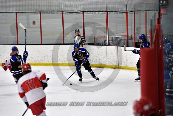 _GSP3244 (Copy)