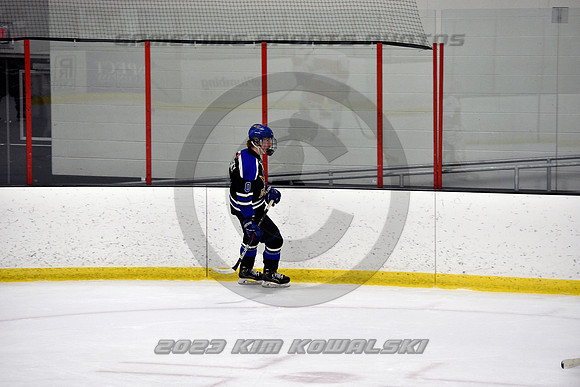 _GSP3253 (Copy)
