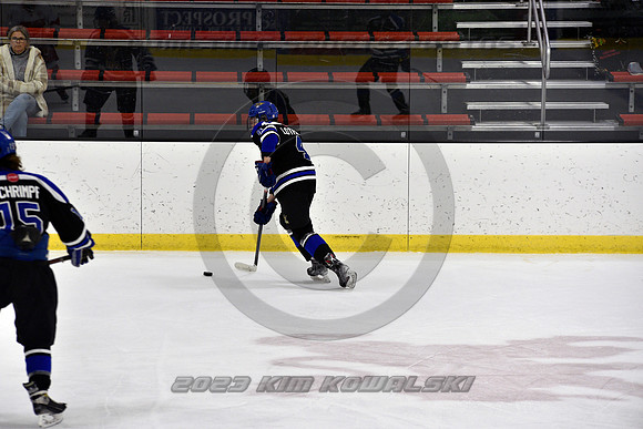 _GSP3263 (Copy)