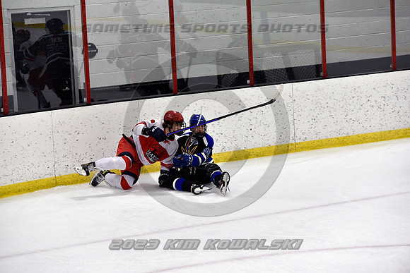 _GSP3289 (Copy)