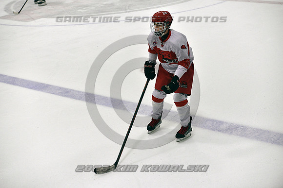 _GSP3317 (Copy)