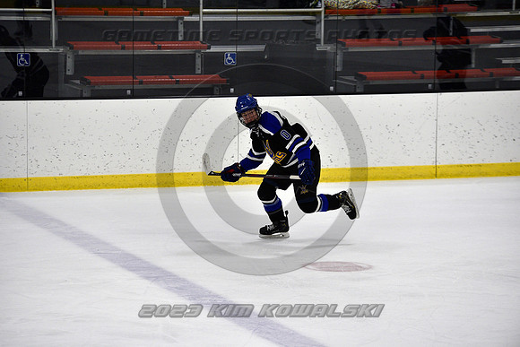 _GSP3343 (Copy)