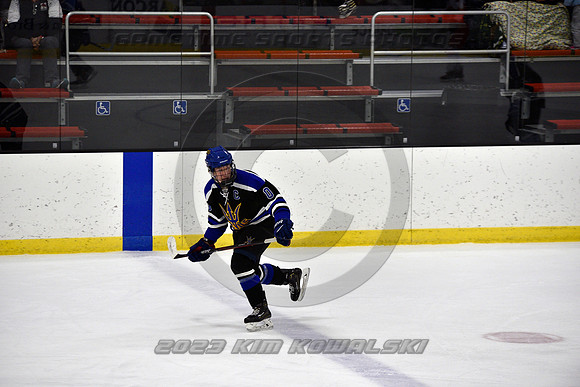 _GSP3344 (Copy)