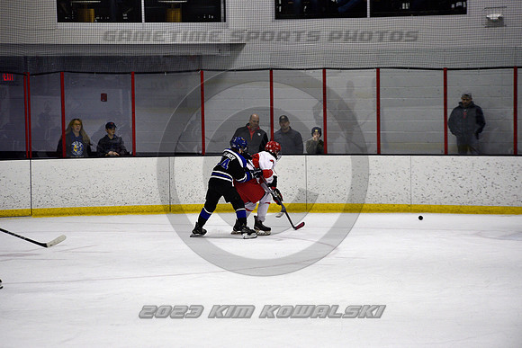 _GSP3377 (Copy)
