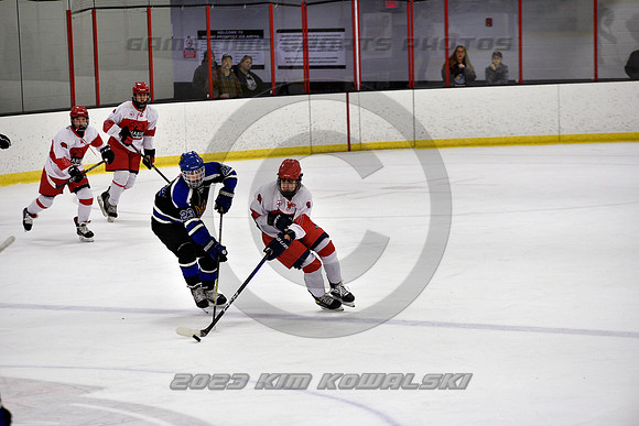 _GSP3385 (Copy)