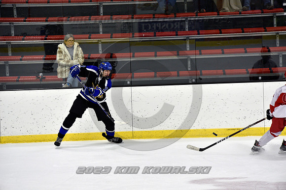 _GSP3389 (Copy)