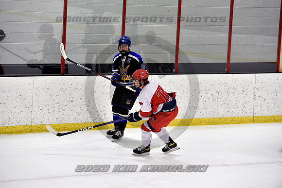 _GSP3409 (Copy)