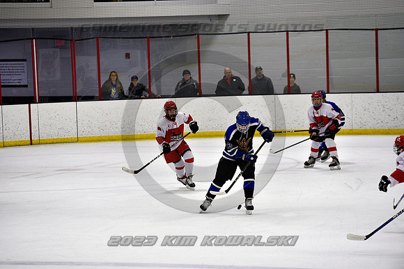_GSP3433 (Copy)