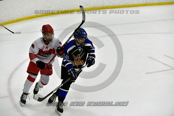 _GSP3438 (Copy)