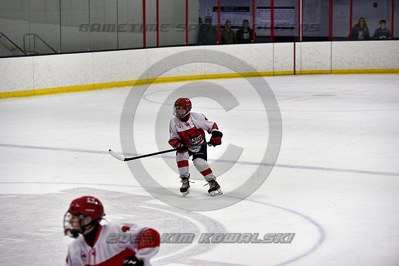 _GSP3447 (Copy)