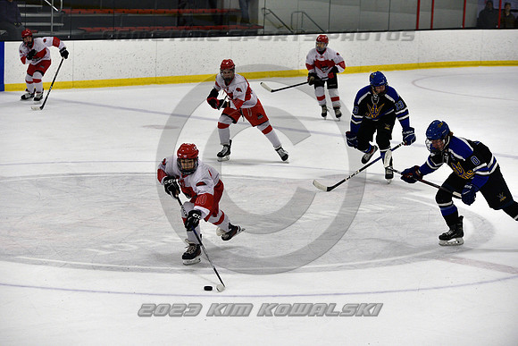 _GSP3461 (Copy)