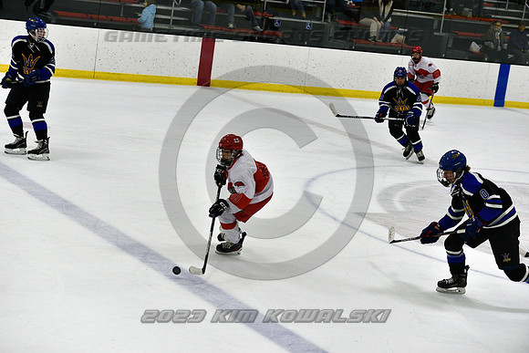_GSP3462 (Copy)