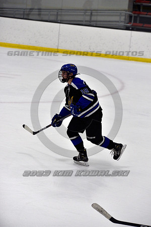 _GSP3515 (Copy)