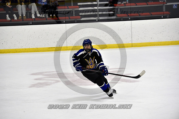 _GSP3541 (Copy)