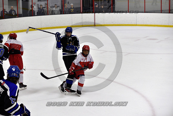 _GSP3545 (Copy)