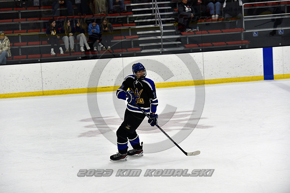 _GSP3555 (Copy)