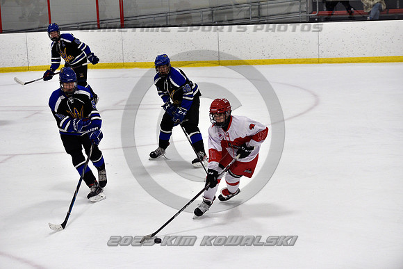 _GSP3569 (Copy)