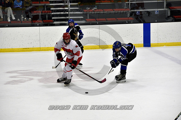 _GSP3613 (Copy)