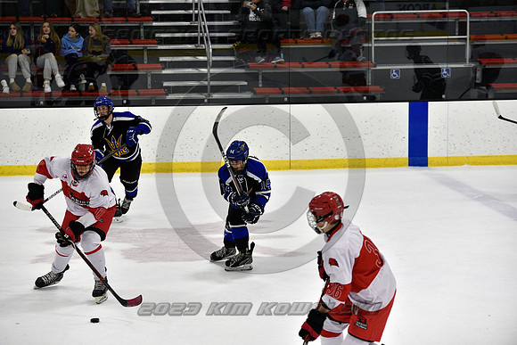 _GSP3614 (Copy)