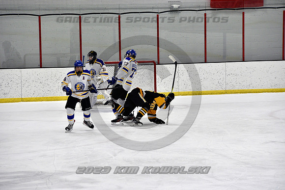 _GSP2901 (Copy)