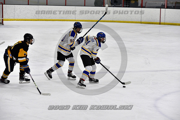 _GSP2938 (Copy)