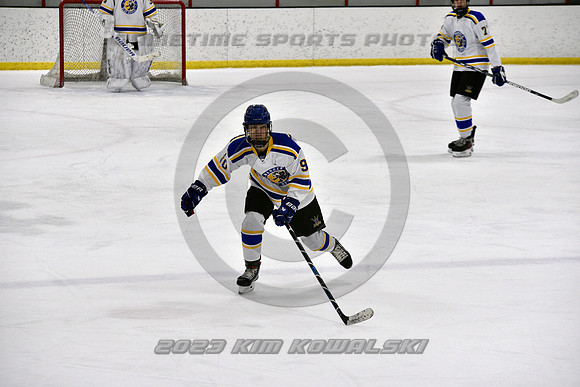 _GSP3016 (Copy)