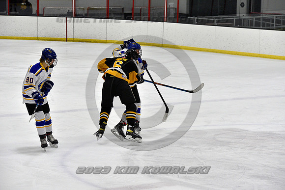 _GSP2939 (Copy)