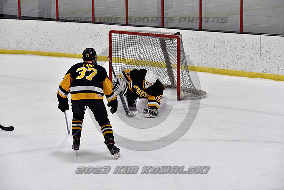 _GSP2861 (Copy)