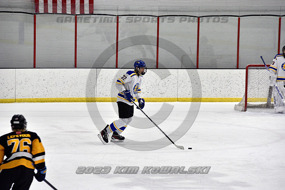 _GSP3019 (Copy)