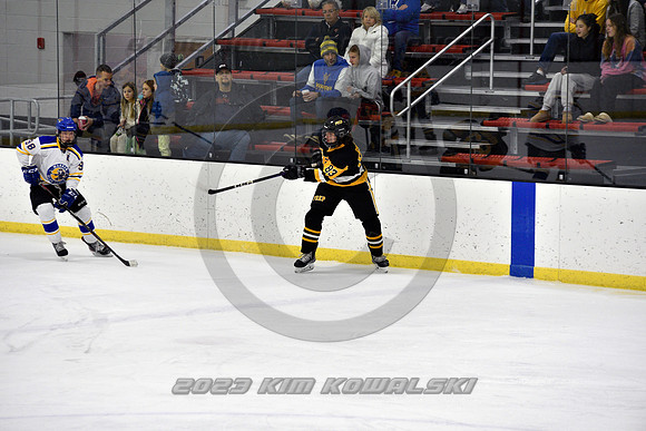 _GSP2943 (Copy)
