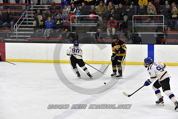 _GSP2905 (Copy)