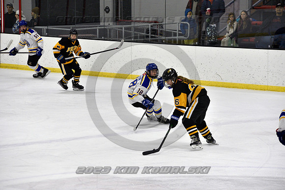 _GSP3020 (Copy)