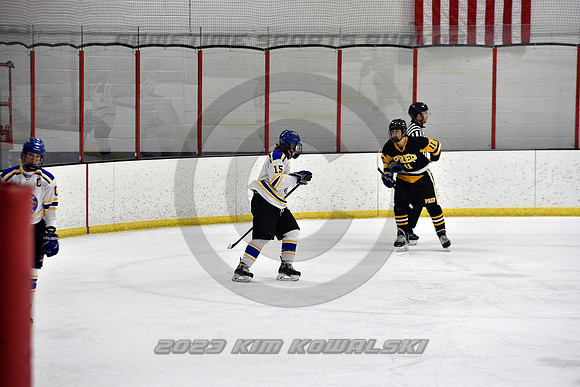 _GSP2945 (Copy)