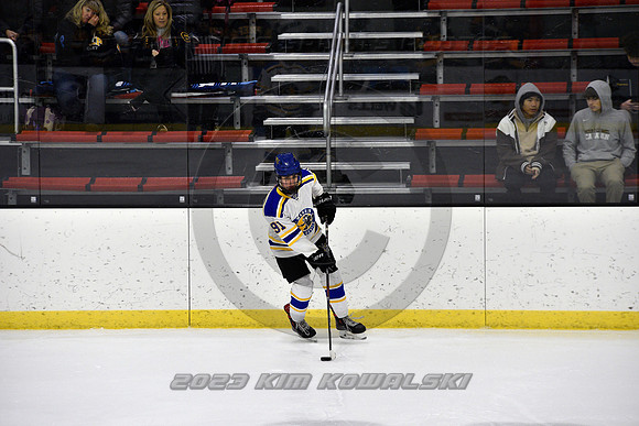 _GSP2821 (Copy)