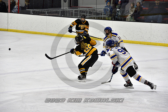 _GSP3021 (Copy)