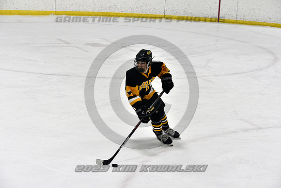 _GSP2908 (Copy)