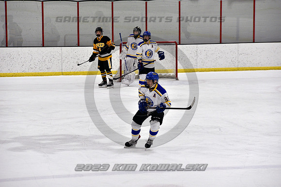 _GSP2947 (Copy)