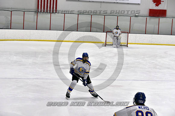 _GSP2781 (Copy)
