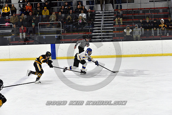 _GSP2910 (Copy)