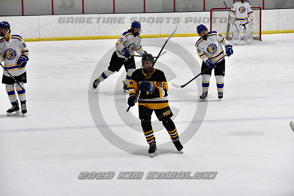 _GSP3025 (Copy)