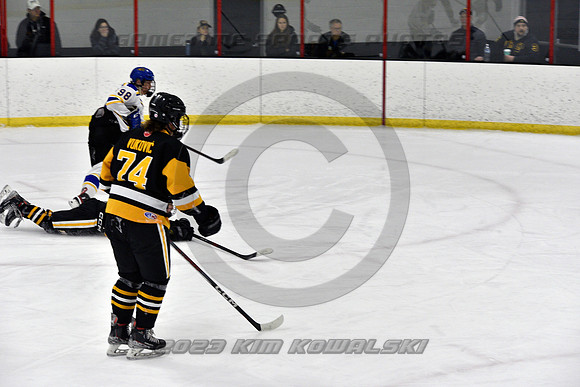 _GSP2913 (Copy)