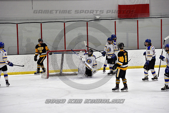 _GSP3027 (Copy)