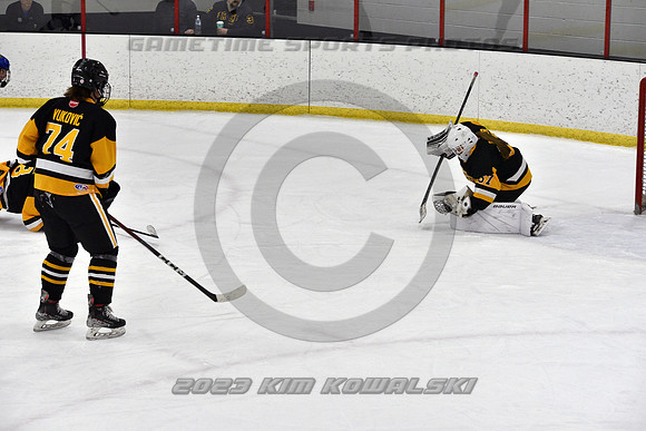 _GSP2914 (Copy)