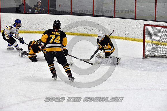 _GSP2915 (Copy)