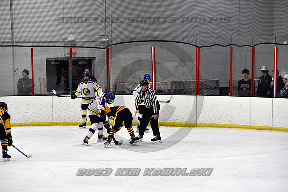 _GSP3028 (Copy)
