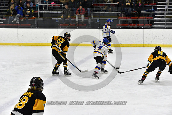 _GSP2831 (Copy)