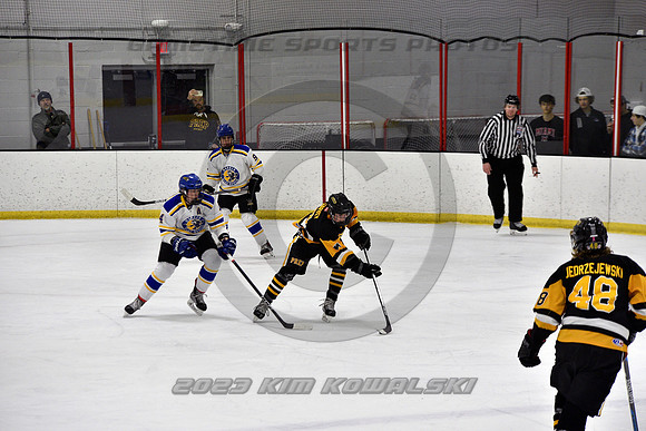_GSP3029 (Copy)