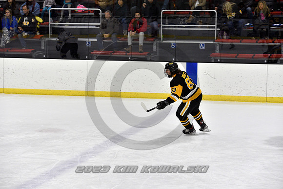 _GSP2792 (Copy)