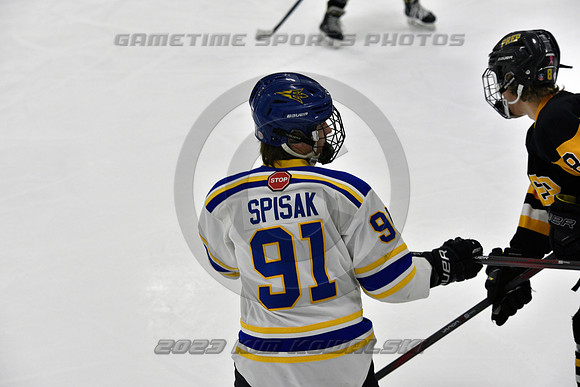 _GSP2833 (Copy)